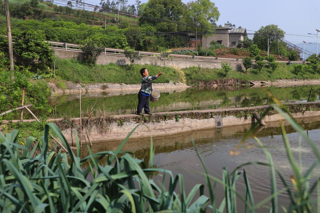 璧山区八塘镇董因良：小身躯撑起家的天空