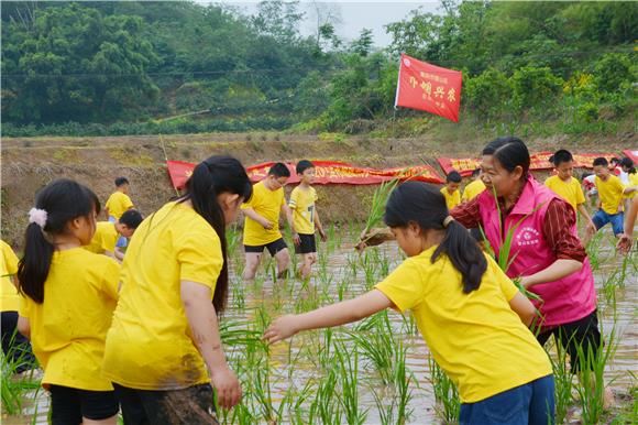 璧山:稻田插秧、摸鱼……这场巾帼兴农志愿服务超有趣