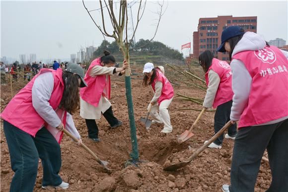 巾帼植树护绿 璧山在行动