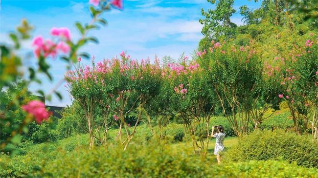 璧山:生态高颜值 生活高质量