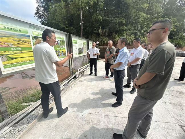 璧山区大路街道:聚焦现代农业发展 人大代表深入一线视察中农良品项目