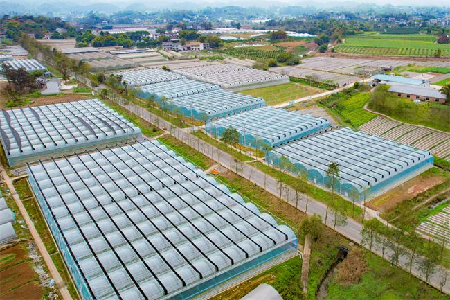 璧山：今年力争设施农业种植规模超6万亩