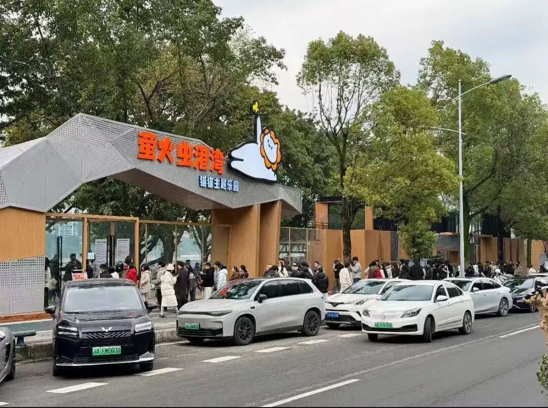 秀湖论坛|一座“流浪猫港湾”，何以温暖一座城？