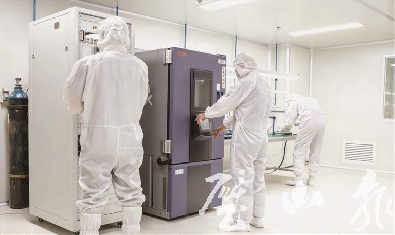 全区专精特新企业达303家