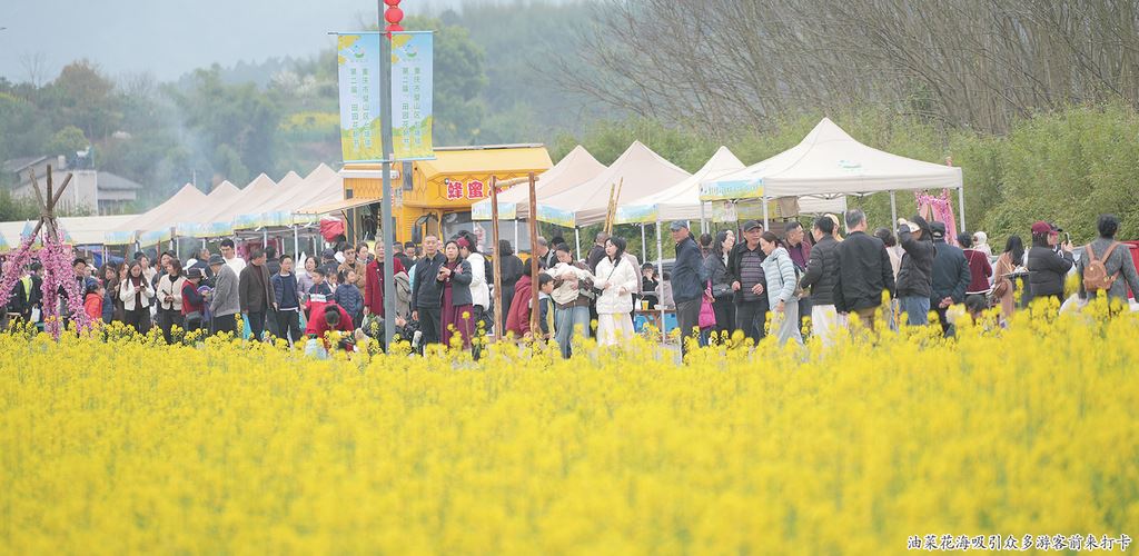【春漾璧山花满园】千亩花海变身“穿越”舞台“田园花朝节”引万人踏春